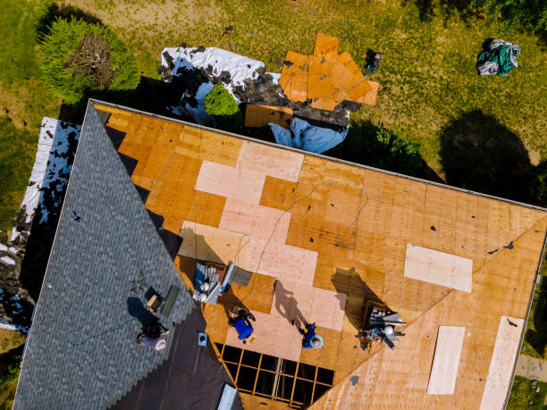 Best Commercial Roofing Services  in Blakely, GA