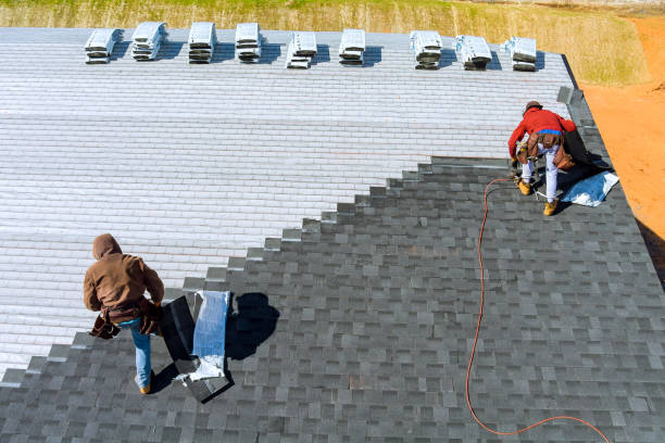 Best Metal Roofing Contractor  in Blakely, GA