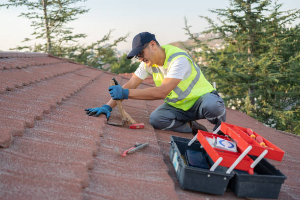 Professional Roofing Contractor in Blakely, GA