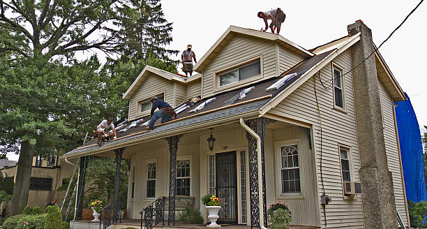Best Roof Leak Repair  in Blakely, GA