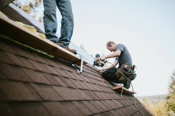 Best New Roof Installation  in Blakely, GA